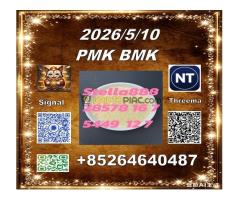 Top supplier P.M.K 28578-16-7 BM.K 5449-12-7/49851-31-2 - Kép 8/12
