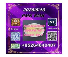 trusted supplier P.MK 28578-16-7 and B.MK 5449-12-7 /49851-31-2      ////Inside was a portrait of a - Kép 7/12