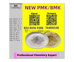 Ready to Ship Immediately 28578-16-7 P.MK 5449-12-7