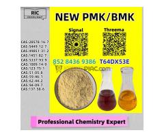 Market-Wide Best Seller 28578-16-7 P.MK NO.1 5449-12-7 - Kép 3/6