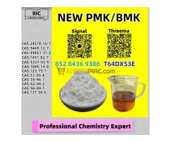 Market-Wide Best Seller 28578-16-7 P.MK NO.1 5449-12-7 - Kép 4/6