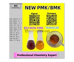 China’s Reliable Manufacturing Partner PM.K 28578-16-7 Trusted Maker 5449-12-7 - Kép 5/5