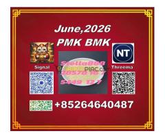stepping stone PMK/ CAS 28578-16-7/ coordinated with BM.K CAS 5449-12-7/