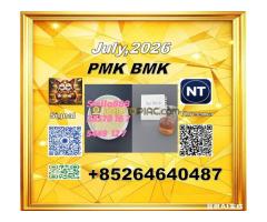USD/KG CAS: 5449-12-7 BMK Glycidic Acid (sodium salt)