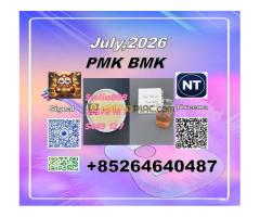 USD/KG CAS: 5449-12-7 BMK Glycidic Acid (sodium salt) - Kép 5/6