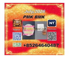 USD/KG CAS: 5449-12-7 BMK Glycidic Acid (sodium salt) - Kép 6/6