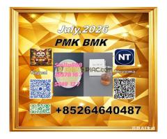 Provide-BM.K/CAS:5449-12-7/Netherlands BM.K/49851-31-2 with