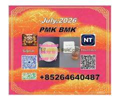 Provide-BM.K/CAS:5449-12-7/Netherlands BM.K/49851-31-2 with - Kép 6/6