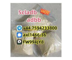 5cladba raw material 5CL-ADB-A precursor raw