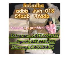 Raw Material 5cl 5cladba Precursor Raw 5cl-adb-a Adbb Best Supplier(+85366541771)