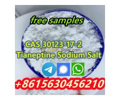 High quality products CAS 30123-17-2 Tianeptine Sodium Salt