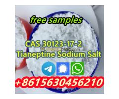 High quality products CAS 30123-17-2 Tianeptine Sodium Salt