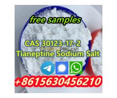 High quality products CAS 30123-17-2 Tianeptine Sodium Salt - Kép 5/10