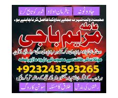 get ur ex back amila baji maryam astrologer+923243593265