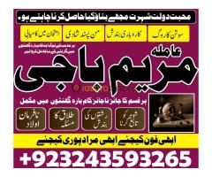 get ur ex back amila baji maryam astrologer+923243593265