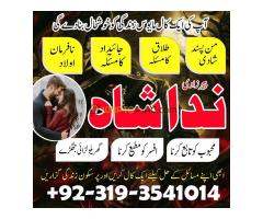 Tantarik Baba Sargodha no1 amil baba in pakistan love marriage / black magic specialist - Kép 9/10