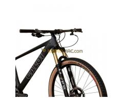 2025 Caloi ELITE CARBON TEAM Mountain Bike (CENTRACYCLES)