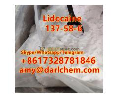 High Quality API Local Lidocaine Powder CAS 137-58-6