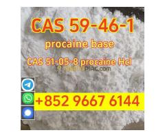 High quality cas 59-46-1 procaine base powder safely delivered to your door