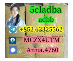 5CL-ADB supplier 5cladba 5cladb vendor on sale