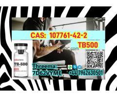 India TOP quality of TB500 CAS 107761-42-2 in stock factory and suppliers - Kép 6/10