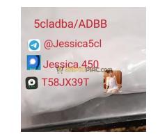 Strong 5cladba raw materials 5CL-ADB precursor powder supplier