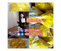 5cladba: Best Prices from 5cladba adbb Factory  - Kép 4/4