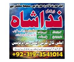 Most Trusted Love Marriage Astrologer with 100% Success amil baba in dubai canada