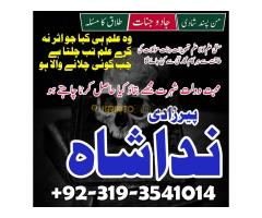 Most Trusted Love Marriage Astrologer with 100% Success amil baba in dubai canada - Kép 4/8