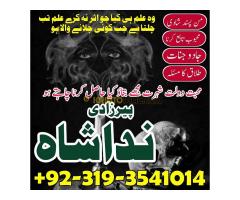 Most Trusted Love Marriage Astrologer with 100% Success amil baba in dubai canada - Kép 5/8