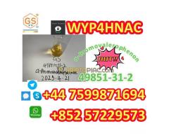 α-Bromovalerophenon 49851-31-2 – Place Order Now, Dispatch Within 24h!