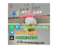 High Quality NEW GS BMK Glycidic Acid (sodium salt) CAS 49851-31-2