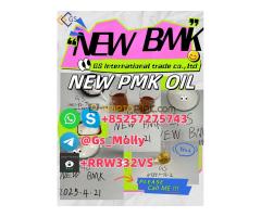 GS New BMK Glycidic Acid PMK Oil CAS49851-31-2