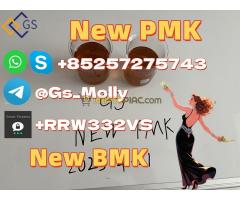 GS New BMK Glycidic Acid PMK Oil CAS49851-31-2 - Kép 4/7