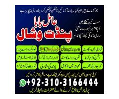 Amil Baba Black magic expert +923103166444 #Black magic expert - Kép 10/12