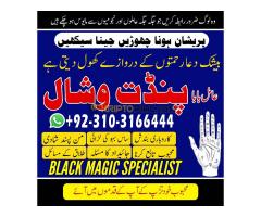 Astrologer lAuthentic Amil Baba in Pakistan, Love Problem Solution, Divorce Problem Solution - Kép 8/9