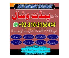 Online Black Magic Baba #Astology #Amilbabain Canada +92131031664444 - Kép 4/12