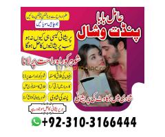 Online Black Magic Baba #Astology #Amilbabain Canada +92131031664444 - Kép 9/12