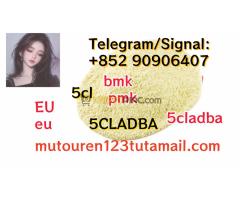 BMK PMK EU 5CL 5CLADBA SGT151 5CLADBA EU jwh-210