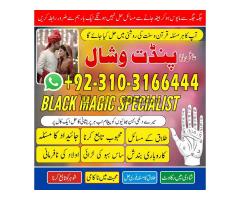 Amil Baba for Lost Love Back in 24 Hours Kala Jadu ka Ilaj +923103166444 - Kép 10/12