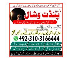 Amil Baba for Lost Love Back in 24 Hours Kala Jadu ka Ilaj +923103166444 - Kép 11/12