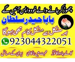 Amil Baba in Pakistan No 1 Amil Baba Japan Amil Baba Karachi S - Kép 7/12