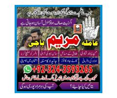 Get ur ex back amila baji maryam astrologer+923243593265