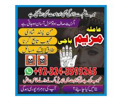 Get ur ex back amila baji maryam astrologer+923243593265