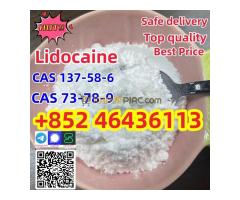 High Quality API Local Lidocaine Powder CAS 137-58-6  Add +852 46436113