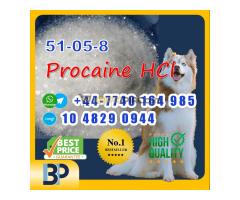 51-05-8 Procaine HCl raw materials