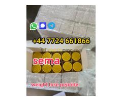 Semaglutide 910463-68-2 weight loss Peptide