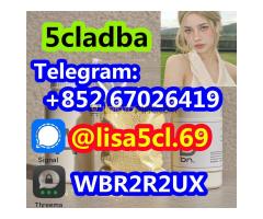 5CL-ADBA Strongest Research Chemical 5cl Precursor 5cladba