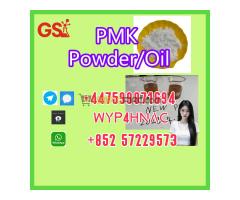 PMK Powder/Oil (CAS 28578-16-7) – Quality Product, Professional Service