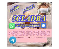 ADBB ADBB 4FADB 4FADB 5FADB 5CLADB AB-C SGT78 SGT-51  SUPPLEMENTARY